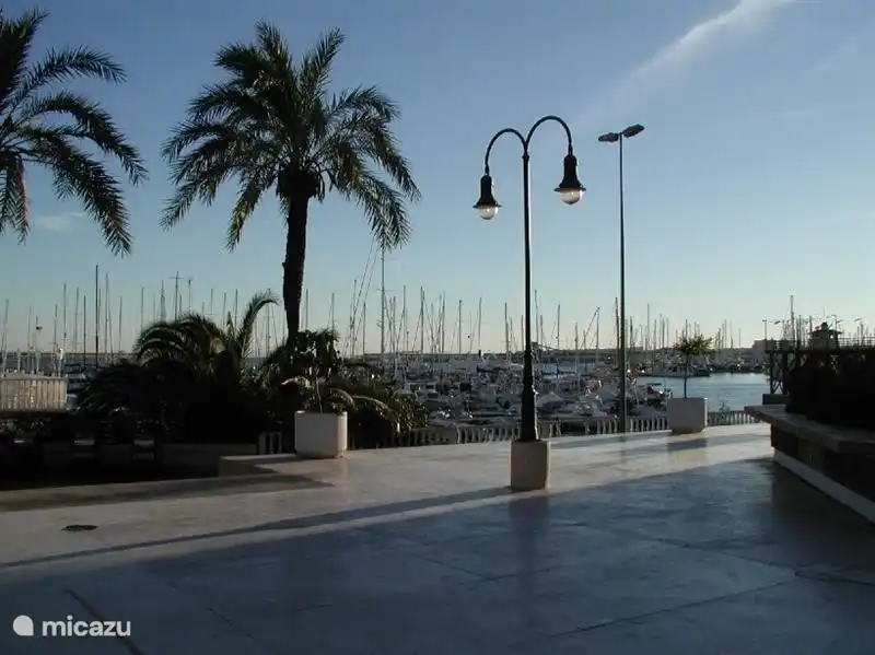Torrevieja Zentrum Blick auf den Hafen