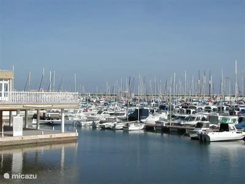 centro portuario Torrevieja