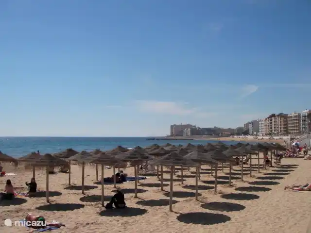 Nortico 5 - app25 huren in Spanje, Costa Blanca, Torrevieja - appartement Playa los Locos op 500 m. van het appartement.