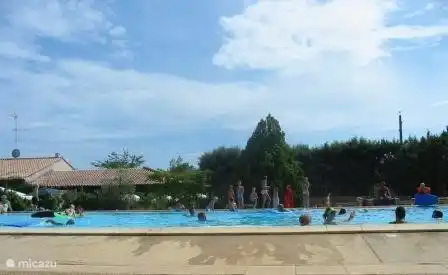 Pool Park