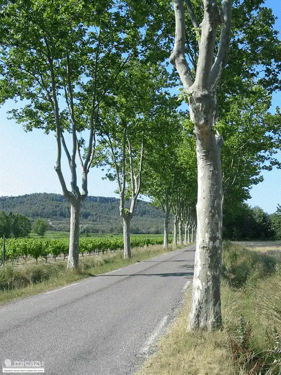 Route de Fontanes