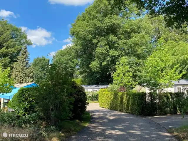 Beaucoup d'espace | Pays-Bas, Gueldre, Wageningen - chalet