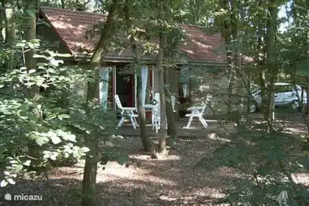 Vacation rental Netherlands, Overijssel, Mariënberg holiday house Boshut Terrace
