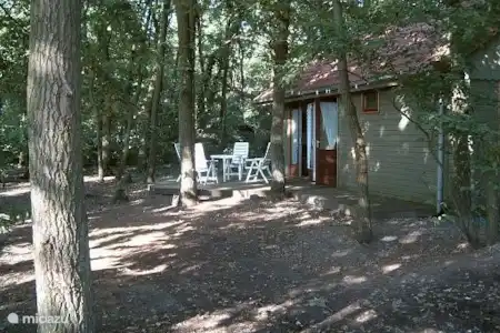 Vacation rental Netherlands, Overijssel, Mariënberg holiday house Boshut Terrace