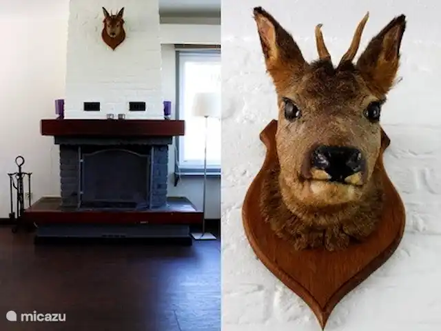 villa en Bélgica, Ardenas, Dochamps – Bonvie En la parte trasera del salón muy espacioso (50 m²) se encuentra la zona de estar con chimenea. Televisión (con satélite), estéreo y DVD están disponibles. También vista fantástica!