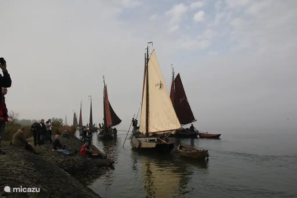 Segeln auf dem IJsselmeer