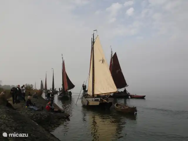 de Mus huren in Nederland, Friesland, Oudemirdum - villa Zeilen op het IJsselmeer