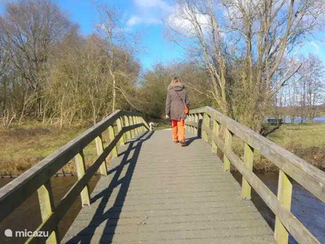 de Mus huren in Nederland, Friesland, Oudemirdum - villa Het Wyldemerk