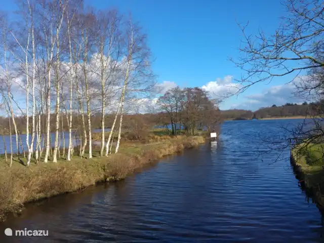 de Mus huren in Nederland, Friesland, Oudemirdum - villa Het Wyldemerk