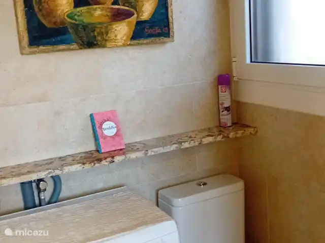 Location de Vacances Espagne, Costa Brava, Lloret de Mar, appartement - Villa Solveig W.c partie de la grande salle de bain avec machine à laver.