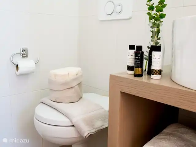 Jasmin & Olives huren in Griekenland, Kreta, Perama - geschakelde woning Badkamer boven met toilet en wastafel