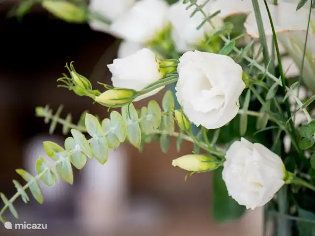 Jasmin & Olives huren in Griekenland, Kreta, Perama - geschakelde woning sfeer