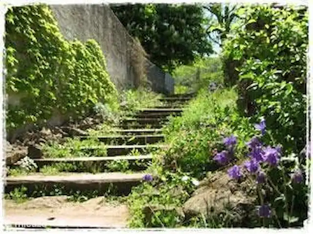 Location de Vacances France, Gard, Robiac-Rochessadoule, manoir / château - Het Elysium 4 à 5 p Les escaliers menant au restaurant et à la piscine.