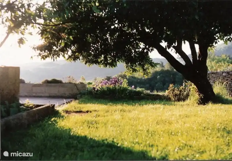 In summer the terrace automatically moves into the shade of the laurel.
