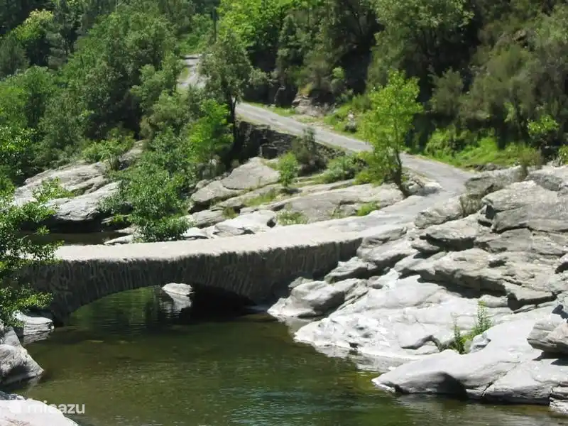 There are several streams in the immediate vicinity