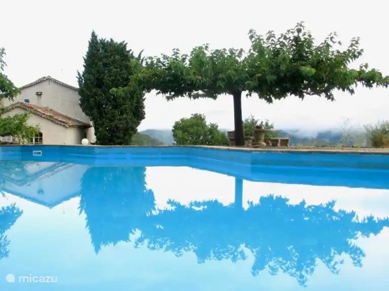 Morning mist by the pool. It means another beautiful day in paradise.