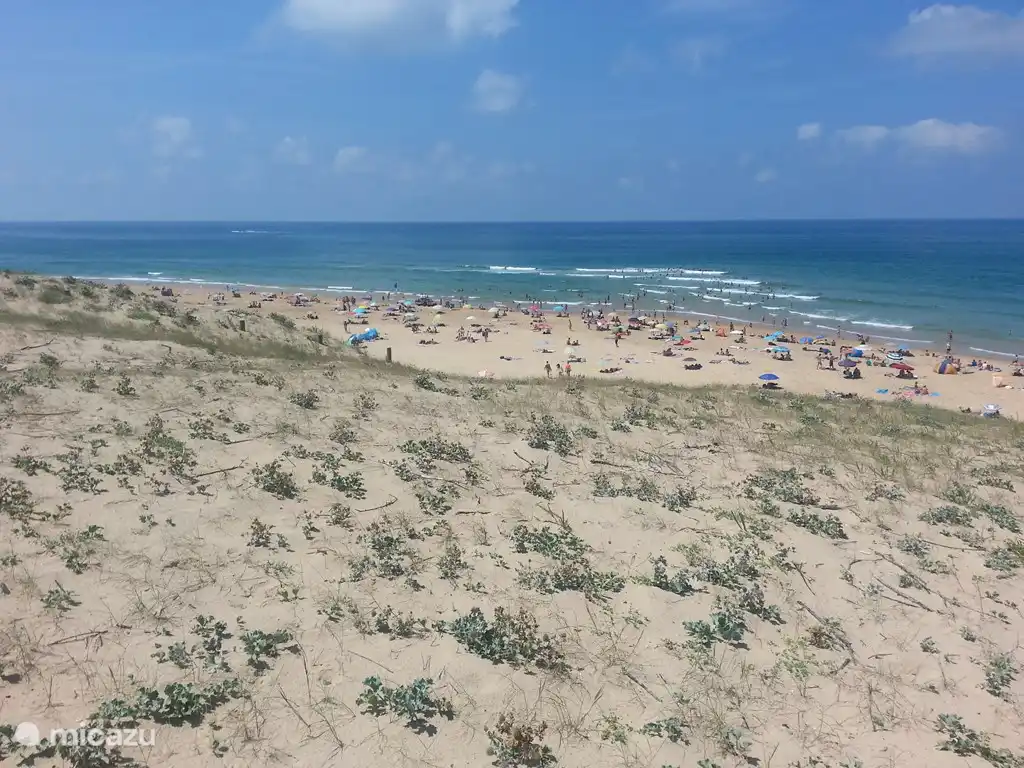 Strand met bewaking bij Messanges. Even buiten de bewaakte zone is het zeer rustig en kunt u heerlijk genieten van zon, zee en strand.