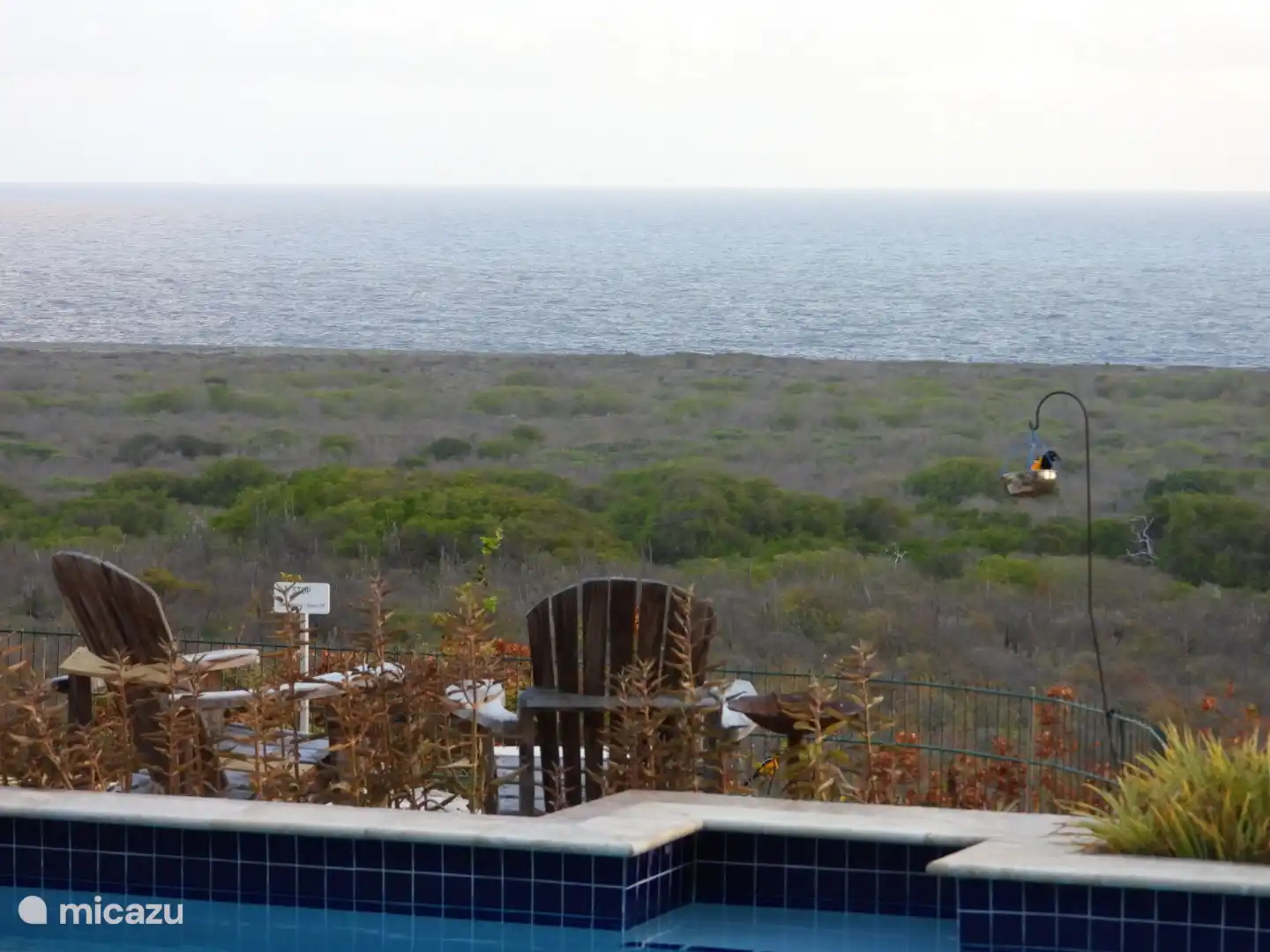 Vistas despejadas de la naturaleza y del mar Caribe.