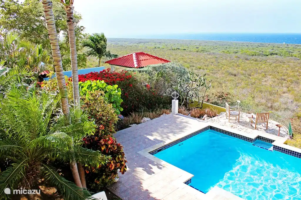 Blick vom Balkon über den Pool, Natur und Meer