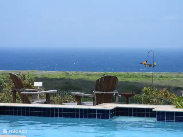 Kas na Nort | Curaçao, Curaçao-Centre, Sunset Heights - villa Profitez de la vue au bord de la falaise.