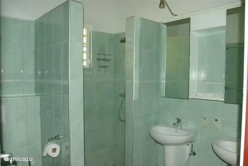 Die grüne Badezimmer