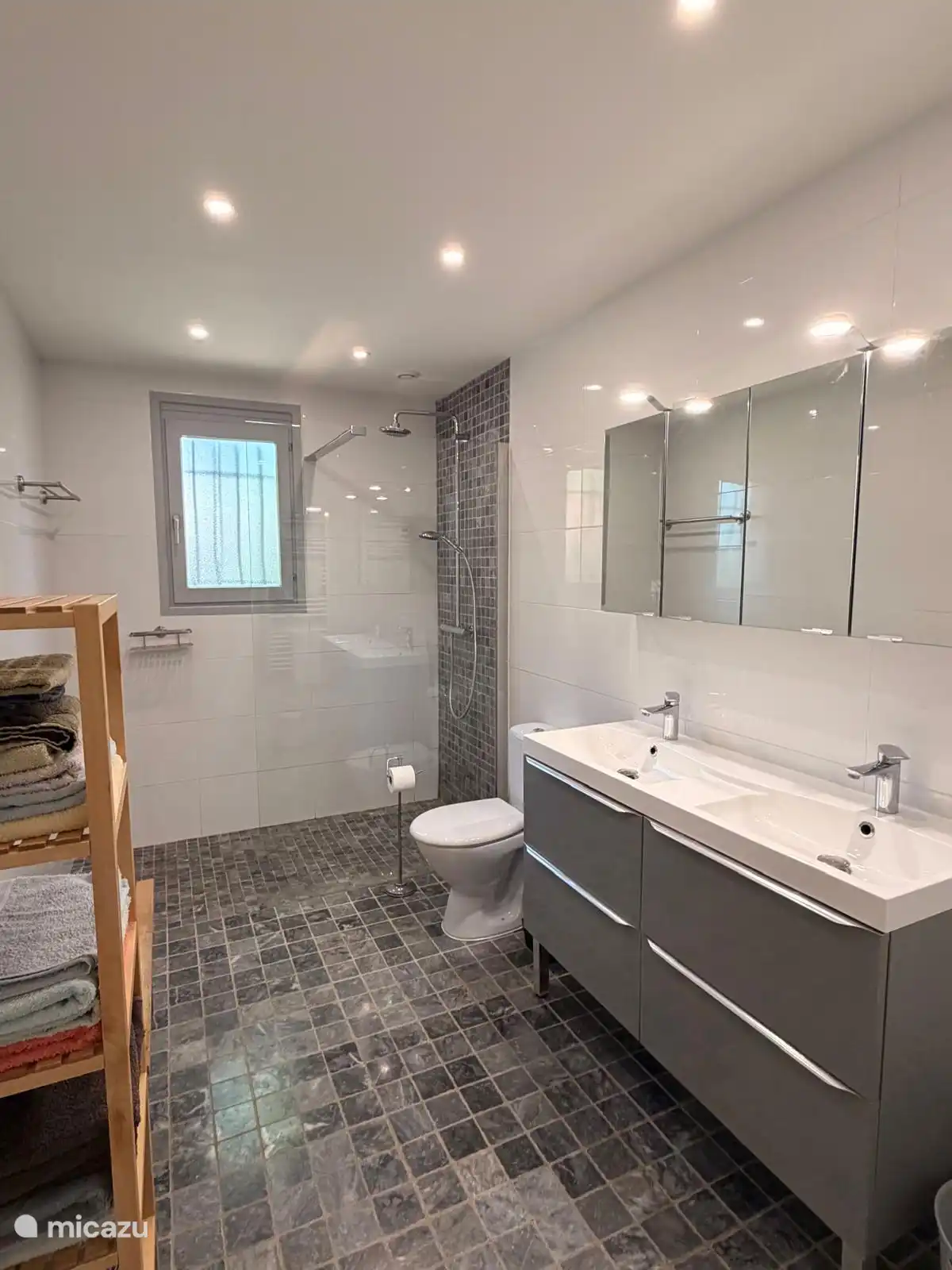 Moderne badkamer met WC en inloopdouche. (Er is nog een andere WC aanwezig.)