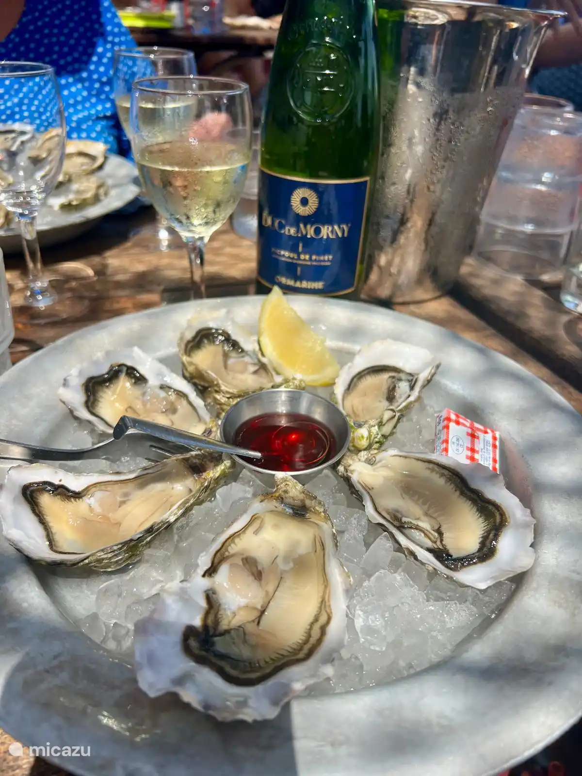 Heerlijke oesters aan de kust.