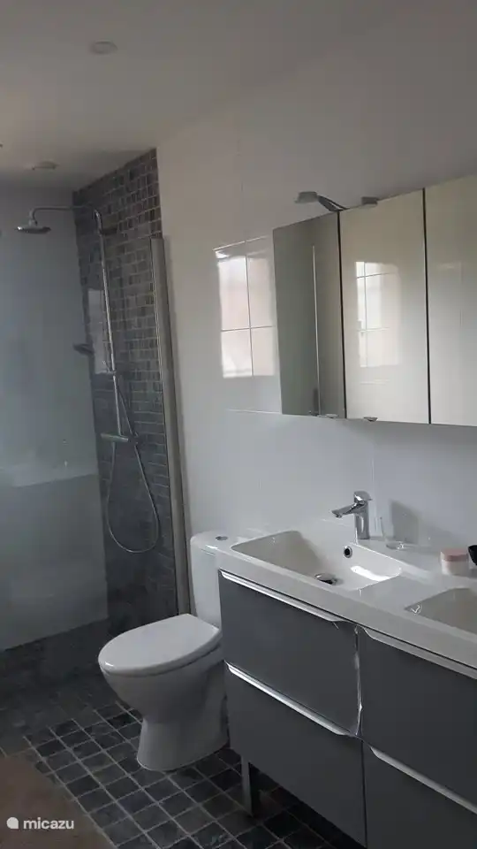 Badezimmer mit ebenerdiger Dusche