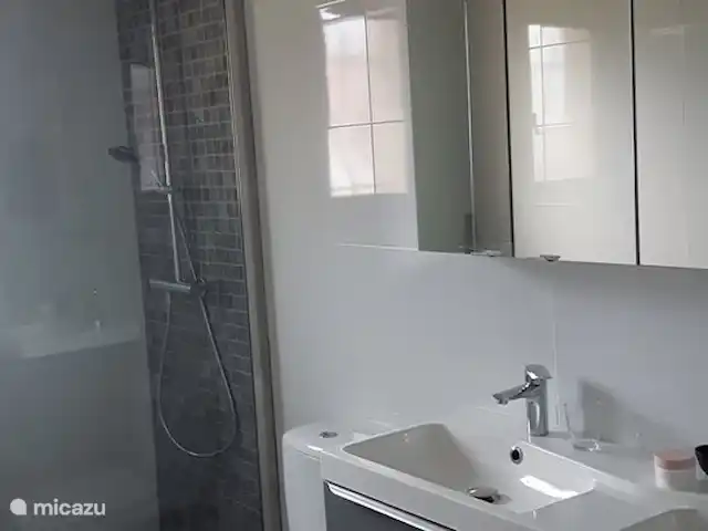 Casa Frangoille en Francia, Hérault, La Tour-sur-Orb - casa vacacional Baño con plato de ducha