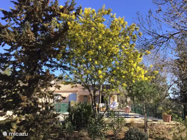 Casa Frangoille en Francia, Hérault, La Tour-sur-Orb - casa vacacional Casa Frangoille