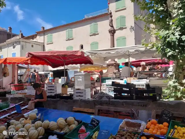 Casa Frangoille en Francia, Hérault, La Tour-sur-Orb - casa vacacional Mercado de los sábados en Pézenas