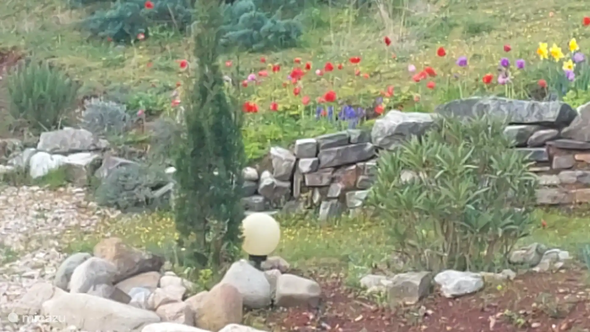 Frühling in Frangouille 2024