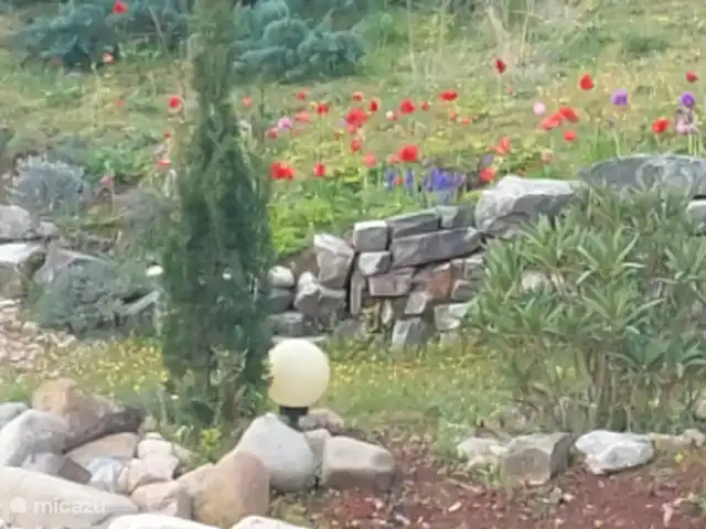 Casa Frangoille en Francia, Hérault, La Tour-sur-Orb - casa vacacional Primavera en Frangouille 2024