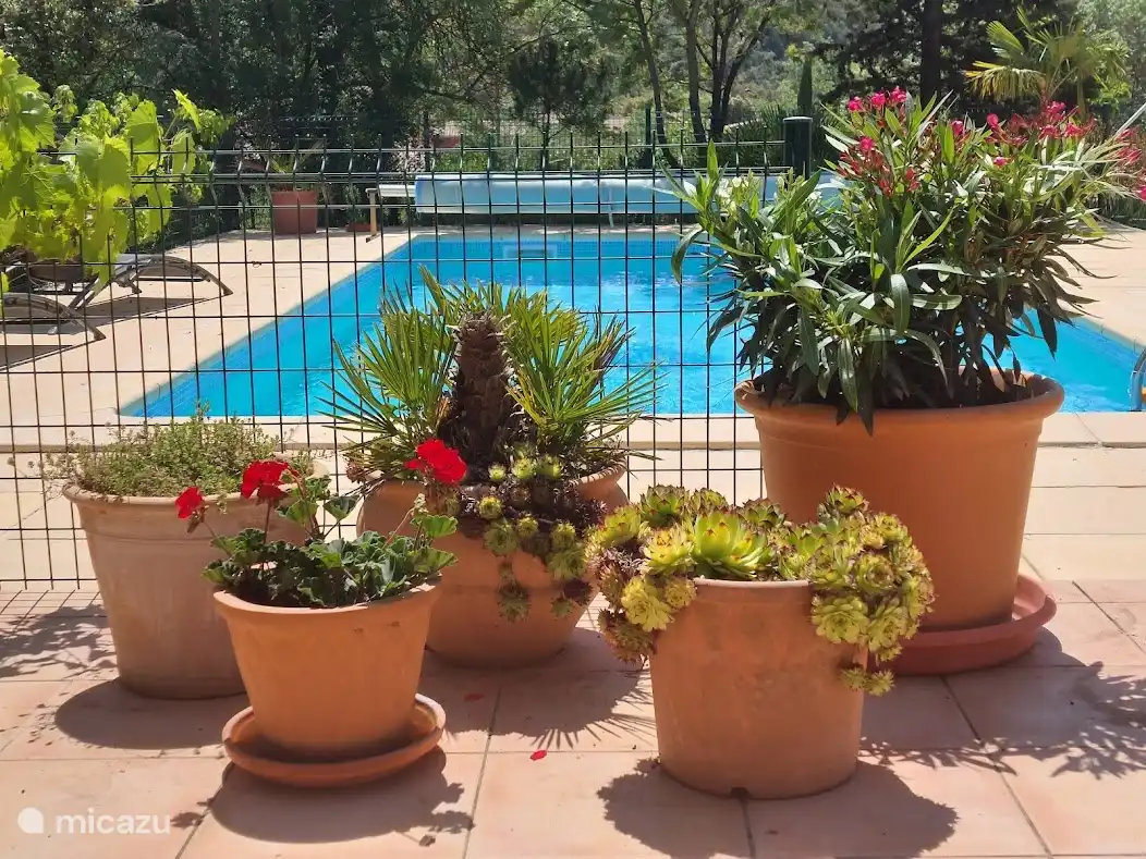 Von der Küche aus sichtbarer Swimmingpool