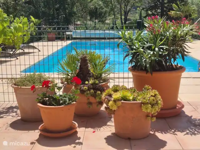 Casa Frangoille en Francia, Hérault, La Tour-sur-Orb - casa vacacional Piscina visible desde la cocina.
