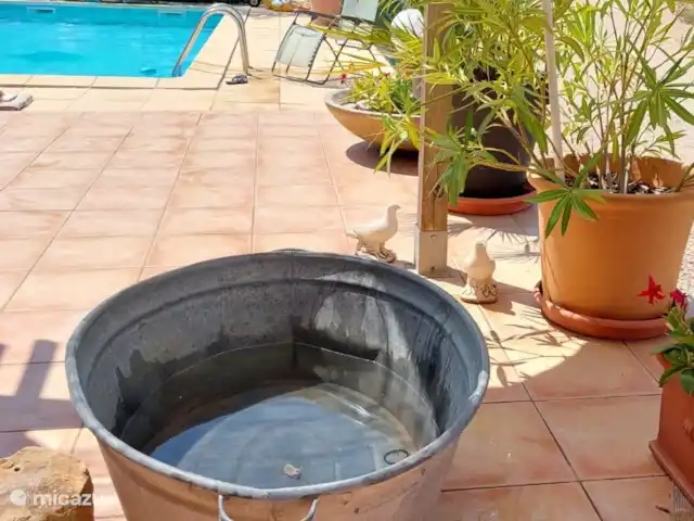 Casa Frangoille en Francia, Hérault, La Tour-sur-Orb - casa vacacional Días calurosos en la bañera, un baño de pies.