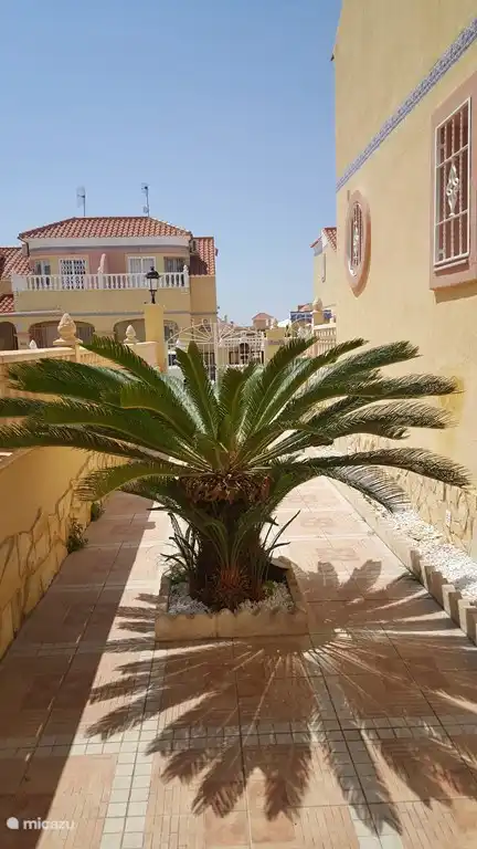 Seitenansicht des Hauses