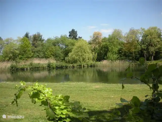 Fischteich nutzen es, riesige Karpfen werden gefangen
