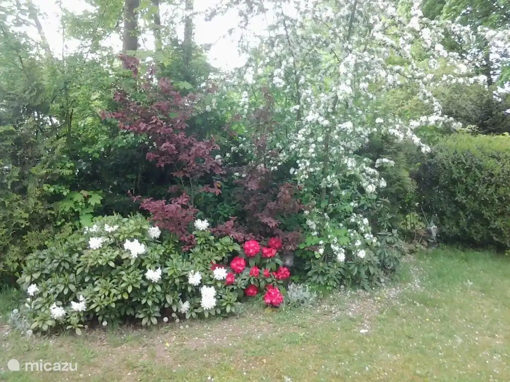 Frühling: Alles ist in vollem Gange