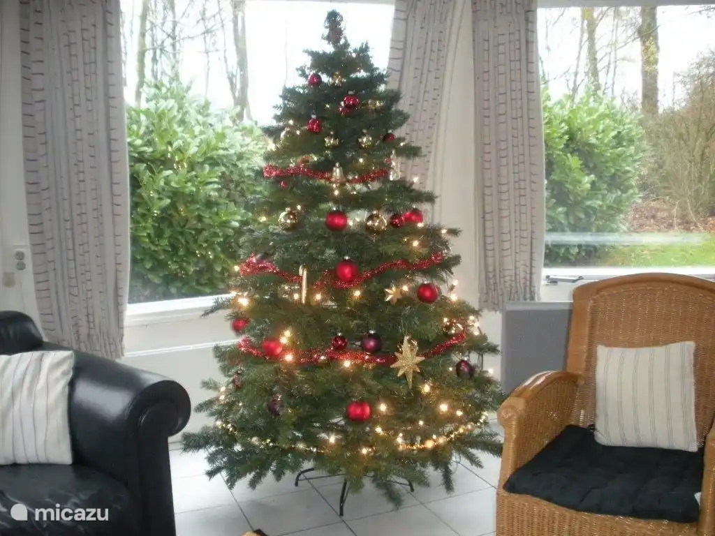 Auch die Weihnachtsferien stehen vor der Tür. Wir dürfen kein Feuerwerk zünden. Ihr Hund ist bei uns kostenfrei willkommen