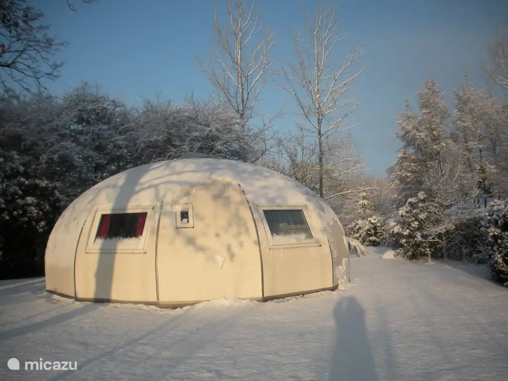 Iglu Savanne im Schnee (Rückseite)