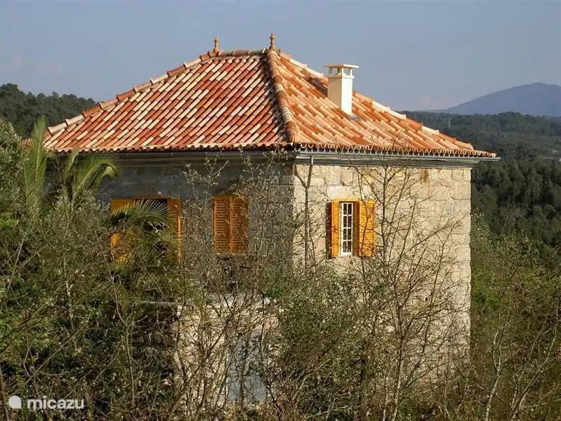 Beautiful Mansion in the green heart of Portugal!