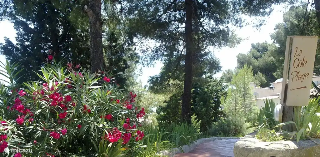 comienzo de las escaleras