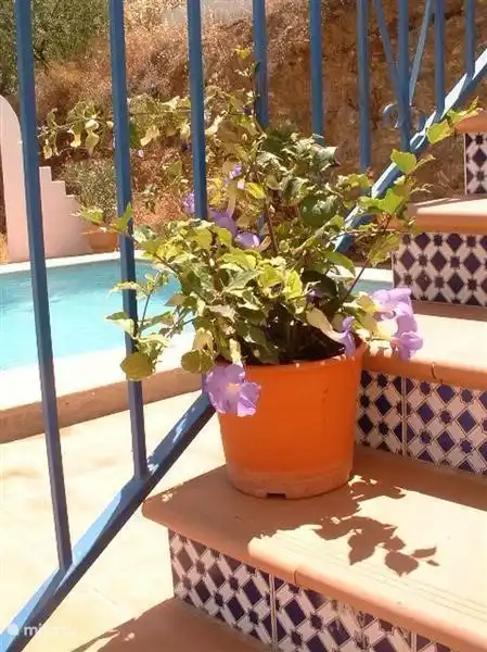 Sie werden über den Rest zu finden, aber das bedeutet nicht, dass Sie sollten den ganzen Urlaub ruhig ......... wenn Sie Hektik und Trubel, Touristen, Lärm und Hektik zum suchen, sind Sie in 30 Minuten der richtige Ort. Glücklicherweise können Sie immer die Ruhe der Casa Feliz zurück!