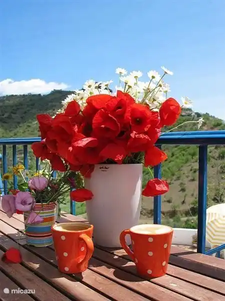 Hoe simpel kan geluk zijn.......... (gewoon wat bloemen uit het veld geplukt)