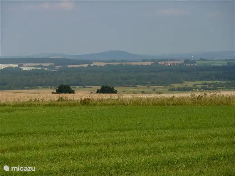 In the summer along a cycle route