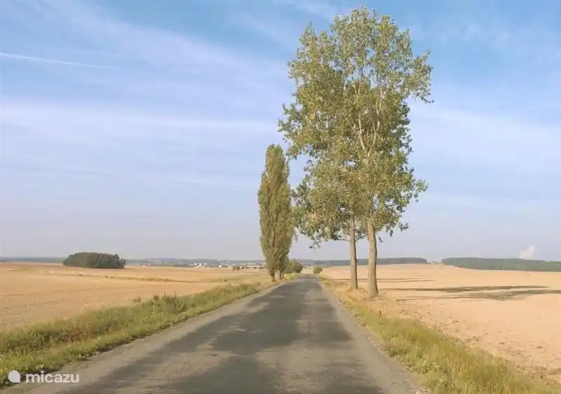 One of the many cycling routes