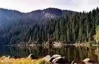 WOODY UMWELT zum Wandern, Radfahren, Laufen