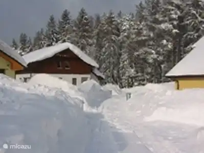 Eine schöne weiße Weihnachten.