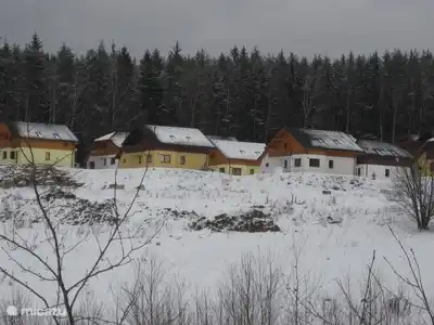 Im Winter haben Sie die Möglichkeit, Schlittschuh zu laufen. Lipno-See Es ist auch möglich, direkt an der durch den Wald zu gehen. Vom Haus